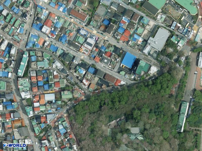 로뎀하우스 항공사진