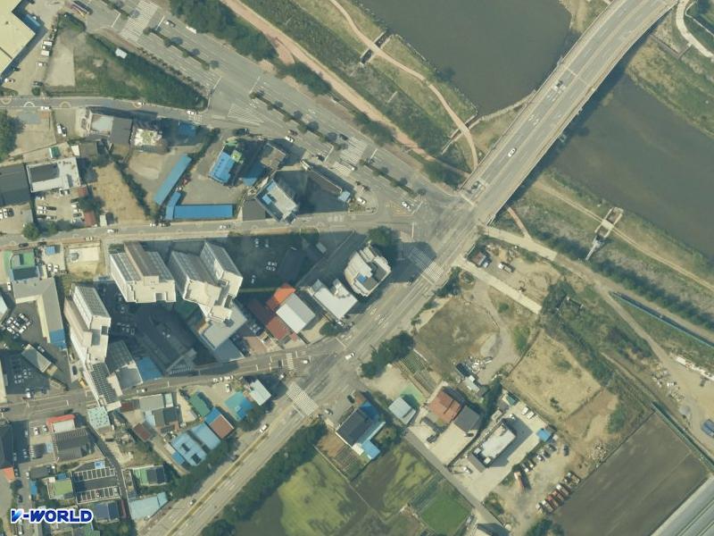 산수유 항공사진