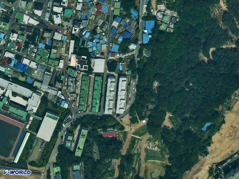 개나리 항공사진