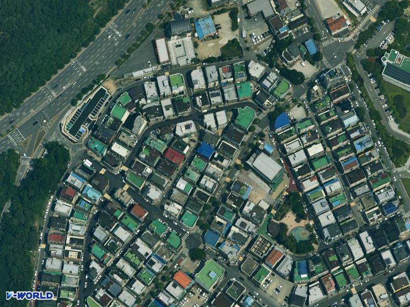 신성동 다세대 항공사진