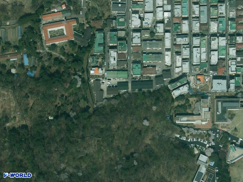 동익 항공사진