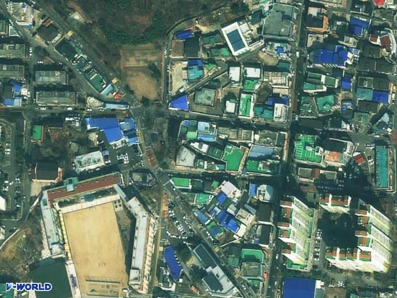 장미 항공사진